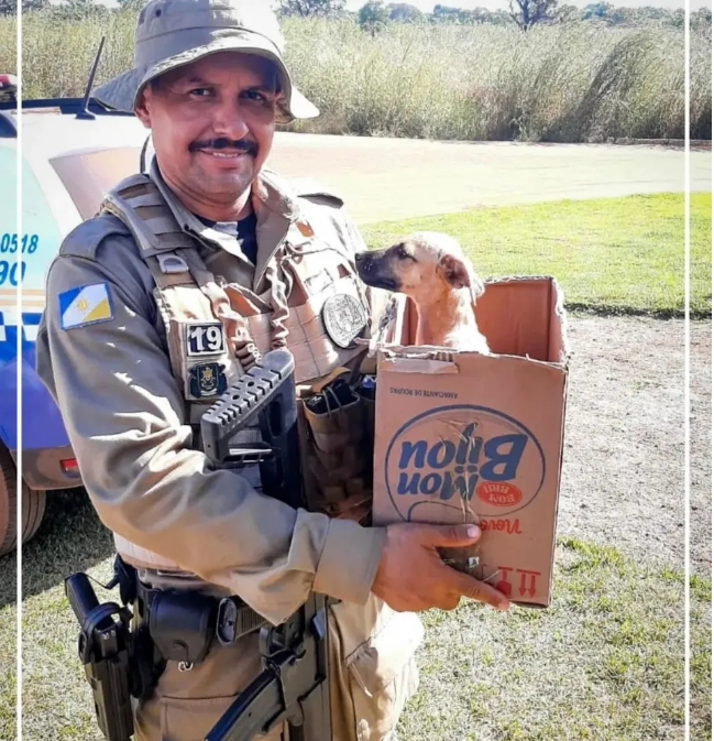 Vira-lata que fez companhia a policiais em caçada a criminosos é adotada por sargento e ganha nome de 'Canguçu'