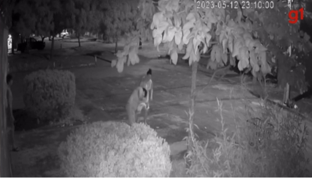 Pais se desesperam após bebê se engasgar, correm para rua e recebem ajuda de vizinha: ‘Deus mandou um anjo’