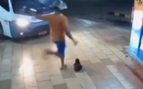 VÍDEO: Câmera flagra o momento em que homem dá chute em gato dentro de rodoviária