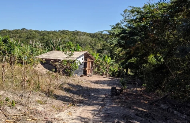 Idoso condenado a 14 anos por estuprar criança em 2015 é localizado em fazenda e preso