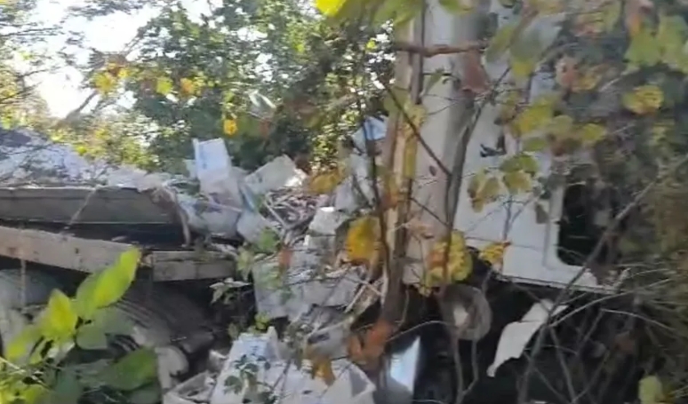 VÍDEO: Motorista morre após caminhão carregado de peixes perder o controle e bater em árvores na BR-153