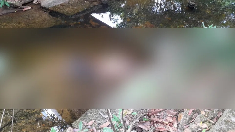 Corpo de homem é encontrado embaixo de ponte na BR-153