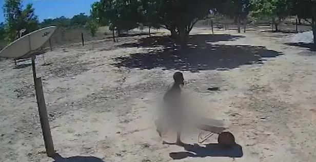 VÍDEO: Câmera registra homem pelado furtando comida e usando um carrinho de mão para fugir