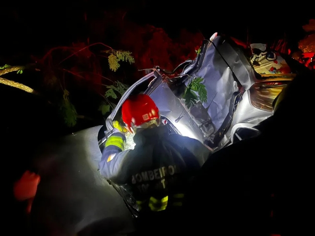 Motorista morre após carro sair da pista e bater em árvore